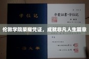 伦敦学院荣耀徽章，铸就非凡人生传奇