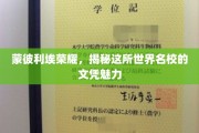 探寻蒙彼利埃之光，揭秘世界名校文凭的非凡魅力