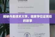 解码丹麦技术大学，学位证背后的传奇之旅