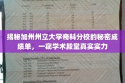 加州奇科分校神秘成绩单大揭秘，揭秘顶尖学府的实力真相