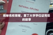 探寻里丁大学荣耀，学位证背后的传奇历程