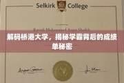 桥港大学学霸养成记，揭秘学霸高分背后的独门秘籍