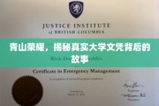 学历光环背后，揭开高校文凭的荣耀与真相