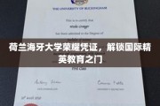 解锁荷兰海牙大学精英通行证，迈向国际教育巅峰之旅