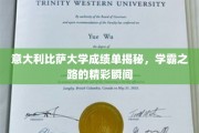 解锁意国学霸，比萨大学成绩单背后的璀璨历程