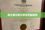 荷兰蒂尔堡大学文凭，开启全球视野新篇章