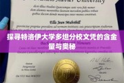 解码特洛伊大学多坦分校文凭，价值与魅力的双重探秘