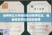 解码加州州立大学洛杉矶分校，学位证背后的非凡传奇