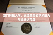 澳门科技大学的学术荣耀与全球通行证背后的故事