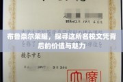 解码布鲁奈尔荣耀，名校文凭的深层价值与独特魅力