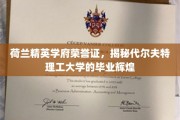 解锁荷兰顶尖学府荣耀，代尔夫特理工大学毕业生的璀璨成就