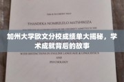 加州学子秘境探秘，欧文分校成绩单背后的辉煌篇章