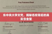解码东中央大学文凭，名校光环下的真实价值解析