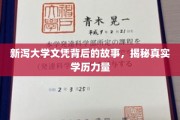 学历之光，新泻大学背后的传奇与真实价值探索