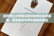 解码纽约州立大学宾汉顿分校，学位证书背后的荣耀与价值