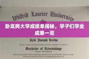 揭秘卧龙岗大学学子实力，成绩单背后的辉煌成就