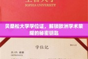 欧洲学术荣耀之门，揭秘贝桑松大学学位证的神秘力量