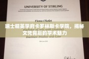 探索卡罗林斯卡学院，瑞士顶尖学府的学术之光与文凭奥秘