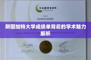 揭开斯图加特大学成绩单的学术奥秘，探寻卓越背后的精彩故事