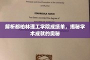 解码都柏林理工学院成绩单，揭秘卓越学术背后的秘密