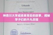 神奈川学子秘境，揭开成绩单背后的奋斗轨迹