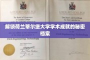 荷兰蒂尔堡大学，揭秘其学术辉煌背后的神秘力量