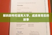 探寻新布伦瑞克大学成绩单的深层奥秘