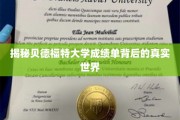 揭开贝德福特大学成绩单背后的秘密世界
