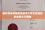解码哥本哈根信息技术大学文凭的国际通行证之谜