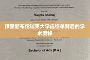 解码新布伦瑞克大学成绩单，揭开学术成就的秘密面纱