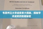 韦恩州立大学成绩单背后的学术奥秘大公开