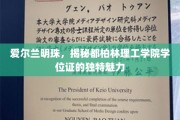 探寻都柏林理工学院学位证的璀璨之光，爱尔兰教育的璀璨明珠