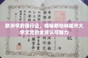 跨国通行证，都柏林城市大学文凭的全球认可之光