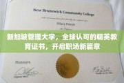 驾驭未来职场，新加坡管理大学精英证书助你一跃起飞