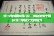 全球设计精英的摇篮，探秘莱佛士国际设计学院文凭的非凡价值
