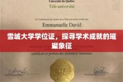雪城荣耀，学位证书背后的学术之光