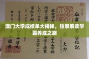 解码澳门学霸，揭秘大学成绩单背后的卓越之路