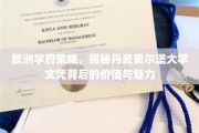 丹麦奥尔堡大学，欧洲教育瑰宝，探索文凭的非凡价值与独特魅力