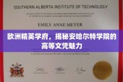 解锁欧洲顶尖学府，安哈尔特学院的文凭之光
