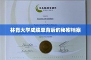 揭开林肯大学成绩单背后的神秘面纱