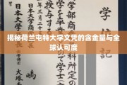 荷兰屯特大学文凭的国际价值与全球通行证解析