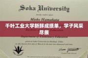 千叶工业大学学子荣耀榜，青春风采闪耀校园