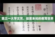 解码西三一，揭开独特教育文凭背后的世界