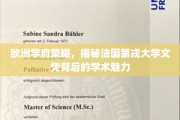 探寻法国第戎大学文凭之光，揭秘学术殿堂的荣耀奥秘