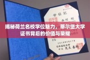 荷兰蒂尔堡大学学位之光，探寻其背后的独特价值与尊贵荣耀
