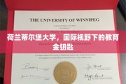 解锁全球视野，荷兰蒂尔堡大学的教育新篇章