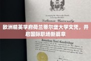 荷兰蒂尔堡大学精英学历，助你跃升国际职场舞台新高度