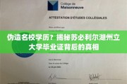 揭秘，苏必利尔湖州立大学学历疑云，伪造背后真相令人震惊
