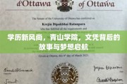 文凭新纪元，青山学院揭秘，学历背后的梦想之旅