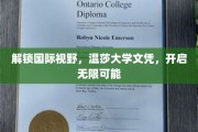 跨国学历新篇章，温莎大学文凭，拓宽你的全球视野与未来机遇